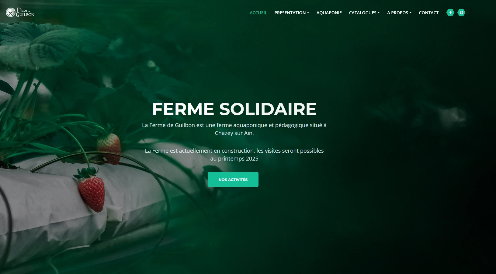 Aperçu du site Guilbon